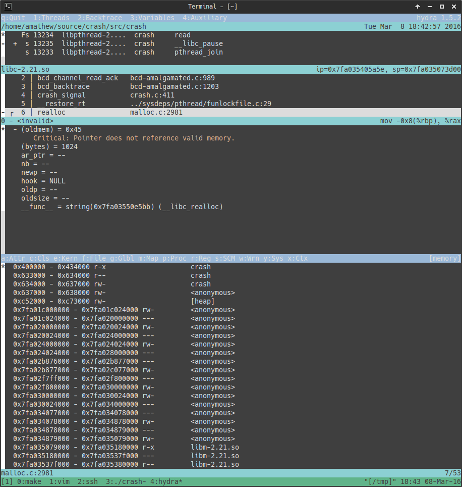 Hydra snapshot views